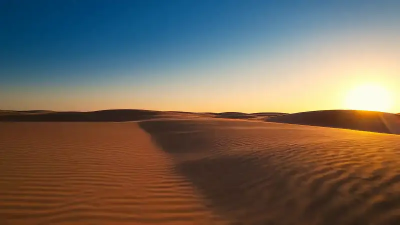 Standbild aus dem Video „Auswahl“