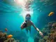 action-cam-schnorcheln-die-besten-tipps-fuer-beeindruckende-unterwasser-videos